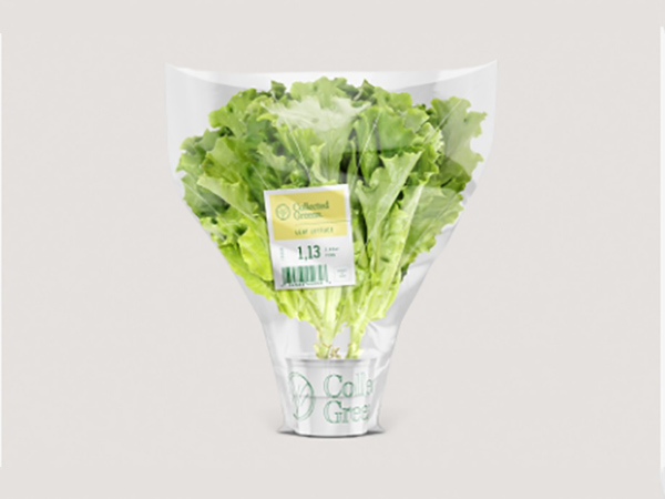 蔬菜食品標簽材料